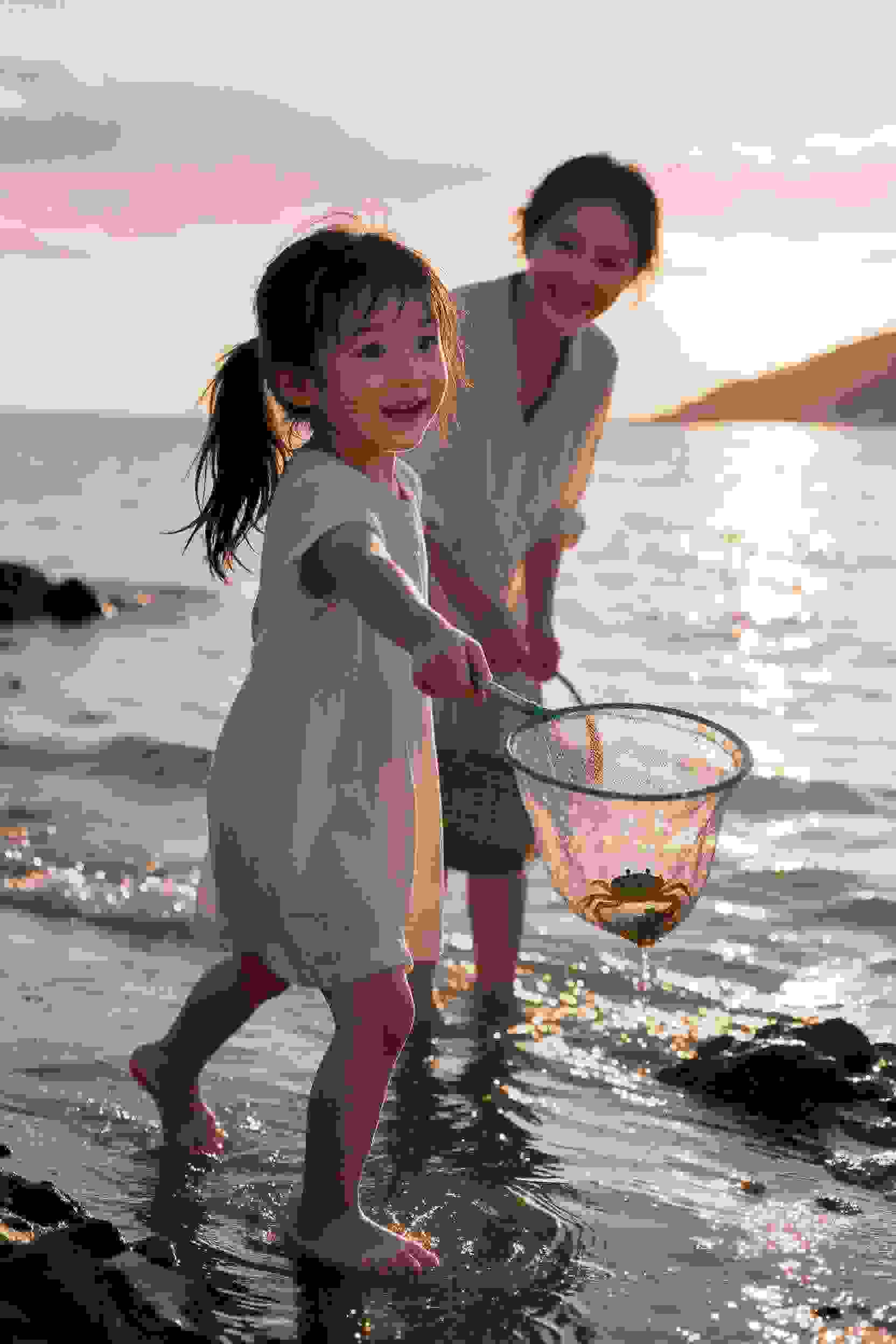 动画作品